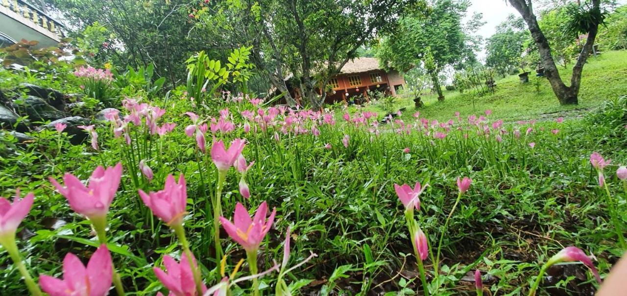 Tuyen Quang Pai Bjooc Homestay מראה חיצוני תמונה