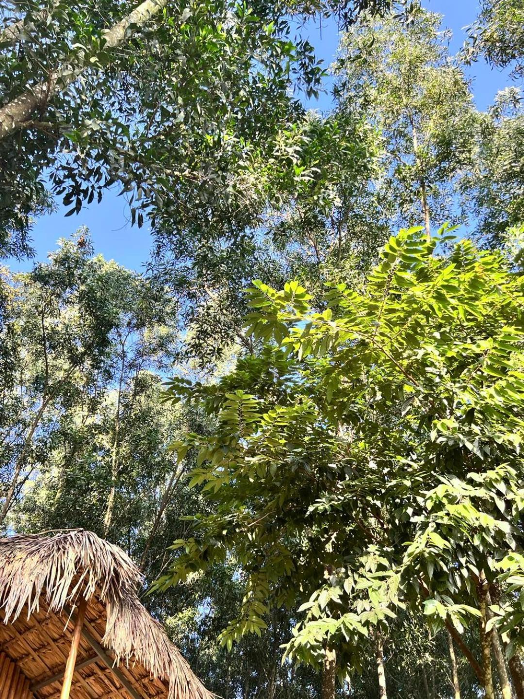 Tuyen Quang Pai Bjooc Homestay מראה חיצוני תמונה